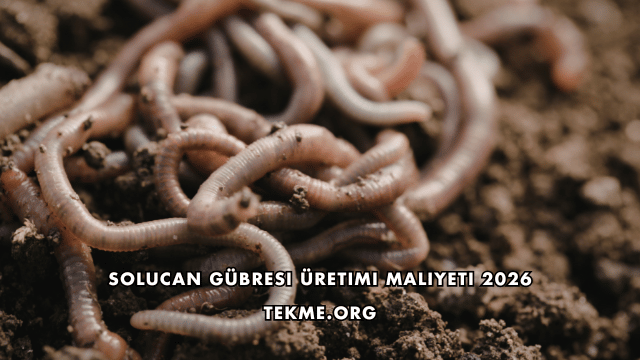 Solucan Gübresi Üretimi Maliyeti 2026
