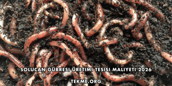 Solucan Gübresi Üretimi Tesisi Maliyeti 2026