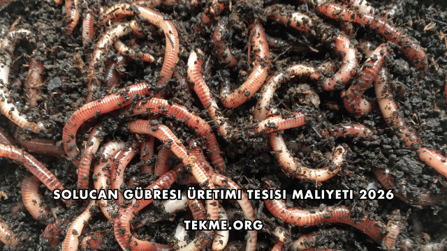 Solucan Gübresi Üretimi Tesisi Maliyeti 2026