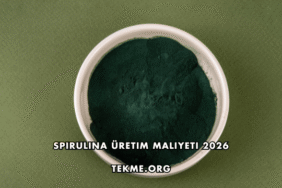 Spirulina Üretim Maliyeti 2026