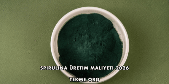 Spirulina Üretim Maliyeti 2026