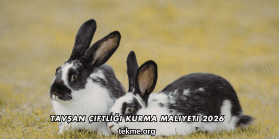 Tavşan Çiftliği Kurma Maliyeti 2026