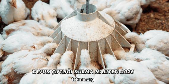 Tavuk Çiftliği Kurma Maliyeti 2026