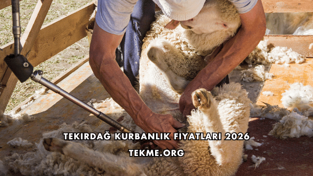 Tekirdağ Kurbanlık Fiyatları 2026