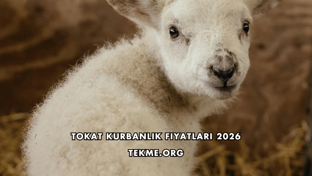 Tokat Kurbanlık Fiyatları 2026