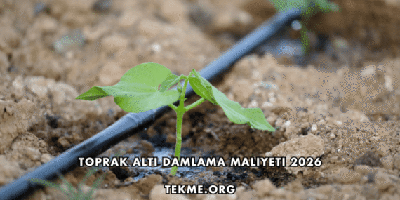Toprak Altı Damlama Maliyeti 2026