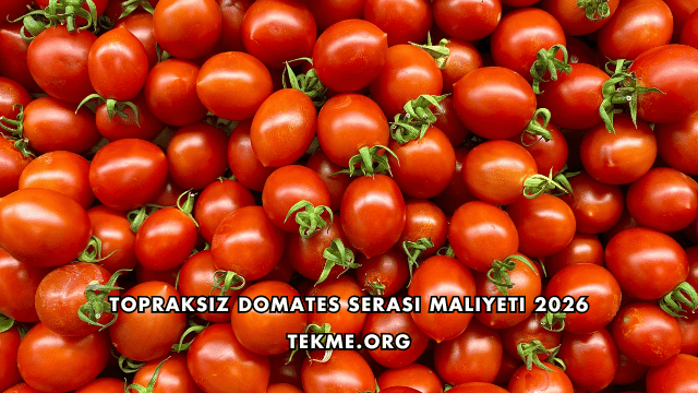 Topraksız Domates Serası Maliyeti 2026