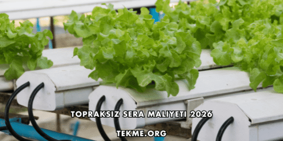 Topraksız Sera Maliyeti 2026