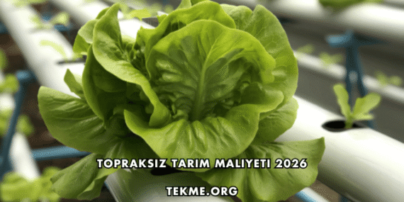 Topraksız Tarım Maliyeti 2026