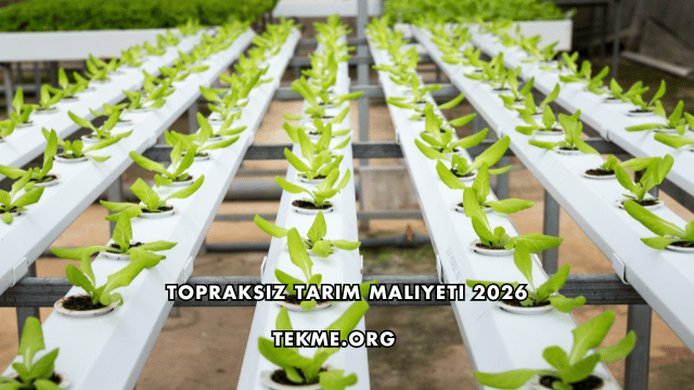 Topraksız Tarım Maliyeti 2026