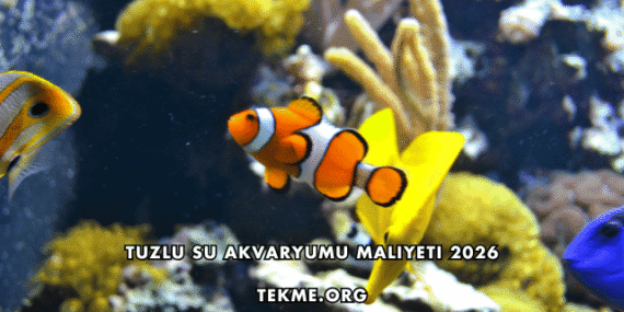Tuzlu Su Akvaryumu Maliyeti 2026
