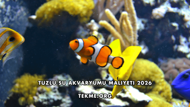 Tuzlu Su Akvaryumu Maliyeti 2026