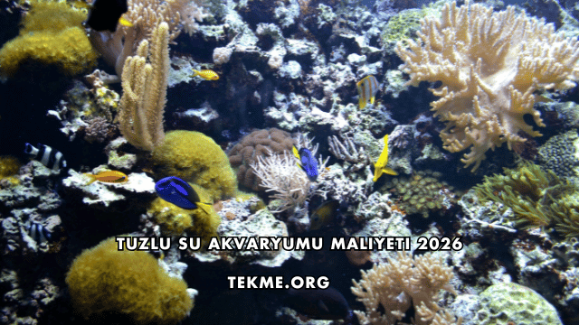Tuzlu Su Akvaryumu Maliyeti 2026