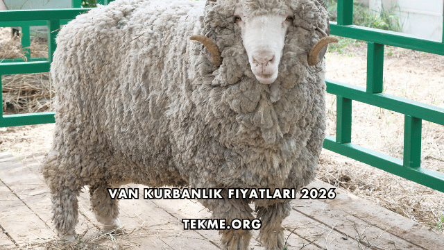 Van Kurbanlık Fiyatları 2026