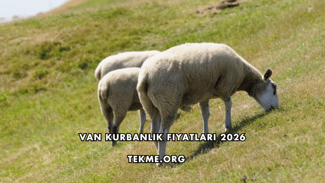 Van Kurbanlık Fiyatları 2026