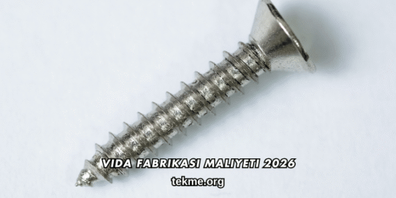 Vida Fabrikası Maliyeti 2026