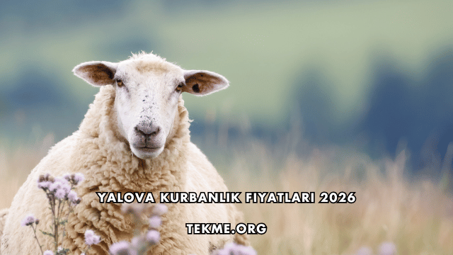 Yalova Kurbanlık Fiyatları 2026