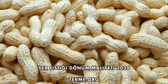 Yer Fıstığı Dönüm Maliyeti 2026