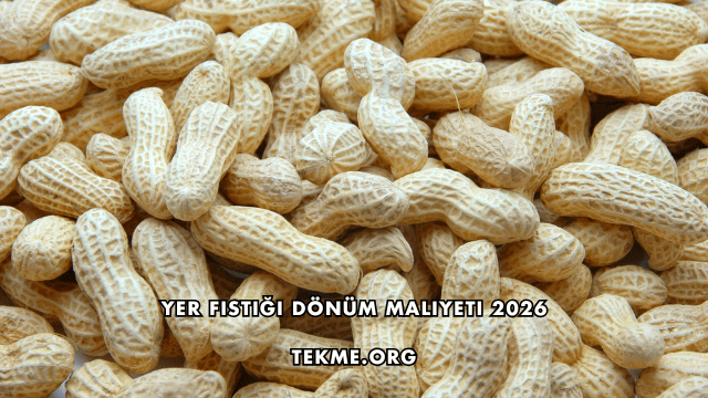 Yer Fıstığı Dönüm Maliyeti 2026