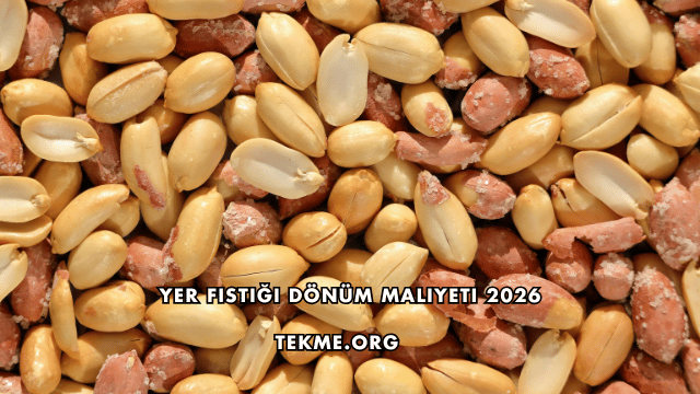 Yer Fıstığı Dönüm Maliyeti 2026