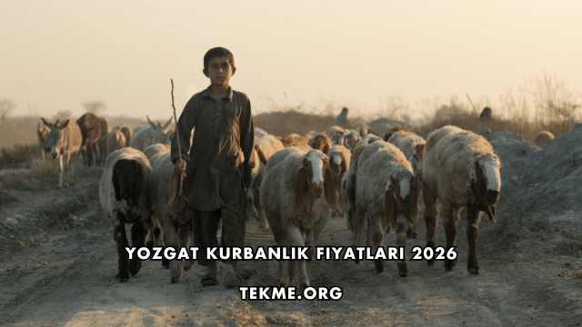 Yozgat Kurbanlık Fiyatları 2026