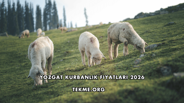 Yozgat Kurbanlık Fiyatları 2026