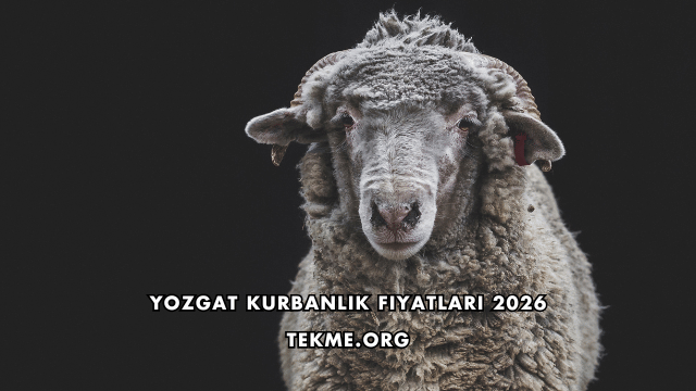 Yozgat Kurbanlık Fiyatları 2026