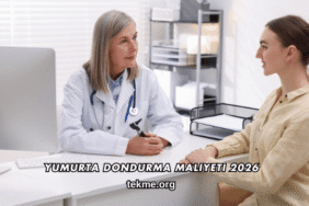 Yumurta Dondurma Maliyeti 2026