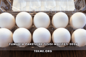 Yumurta Paketleme Tesisi Maliyeti 2026