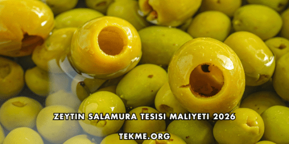 Zeytin Salamura Tesisi Maliyeti 2026