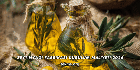 Zeytinyağı Fabrikası Kurulum Maliyeti 2026
