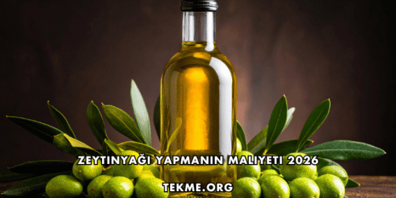Zeytinyağı Yapmanın Maliyeti 2026