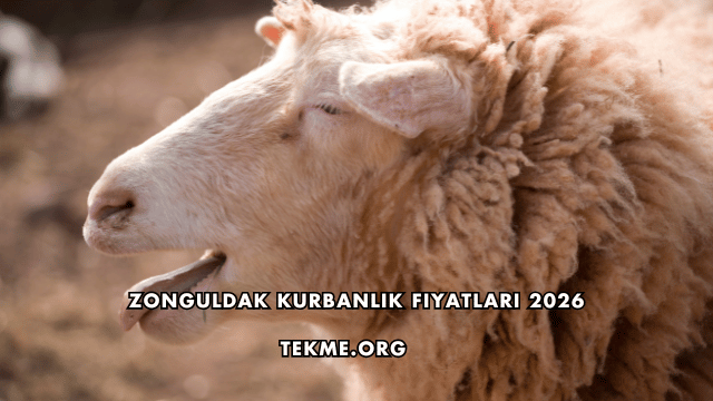 Zonguldak Kurbanlık Fiyatları 2026